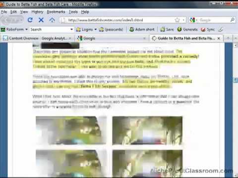 Google Images Traffic and Niche Profit Classroom