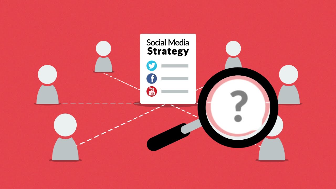 Tampa Web Design, eCommerce SEO & Digital Marketing Agency - Seacabo Media