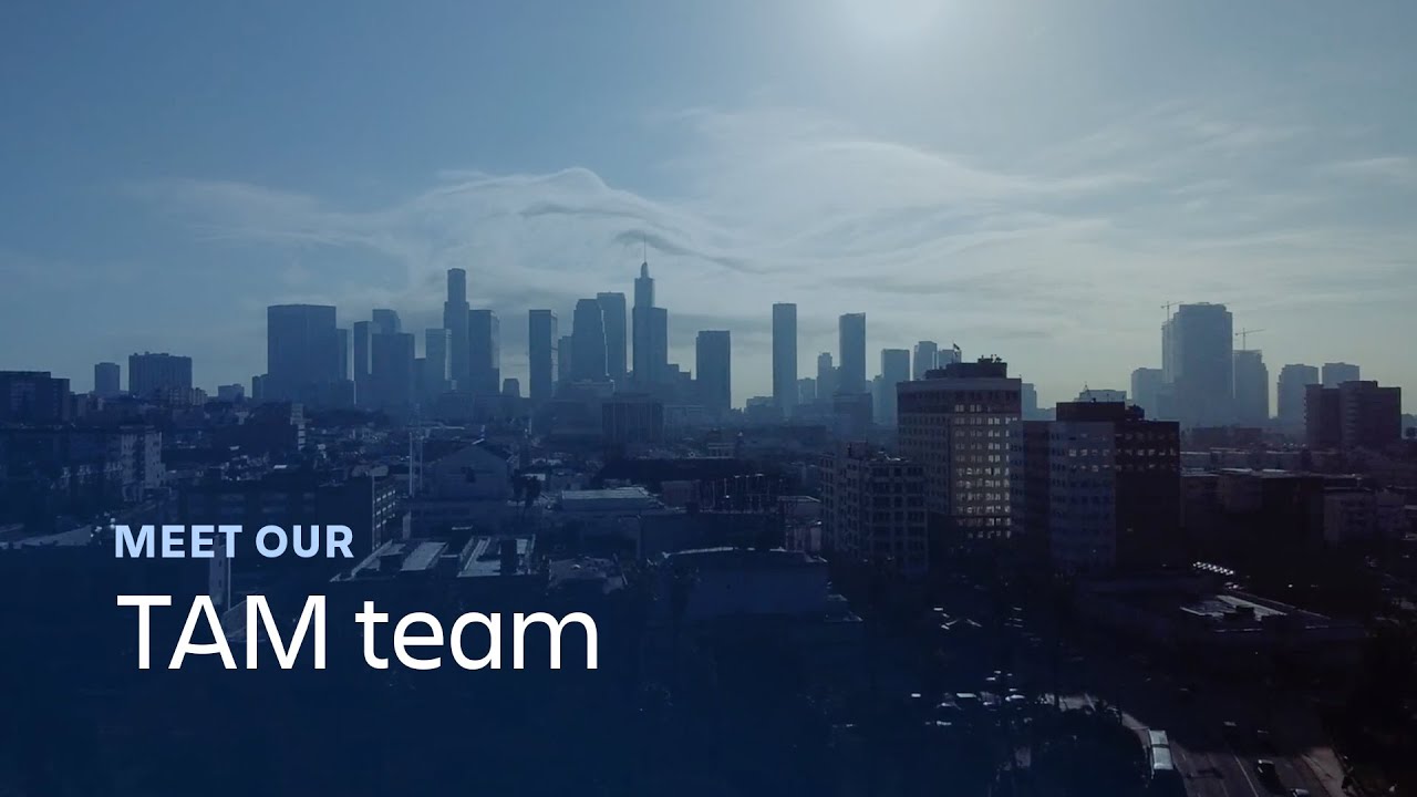 Meet our Technical Account Management team