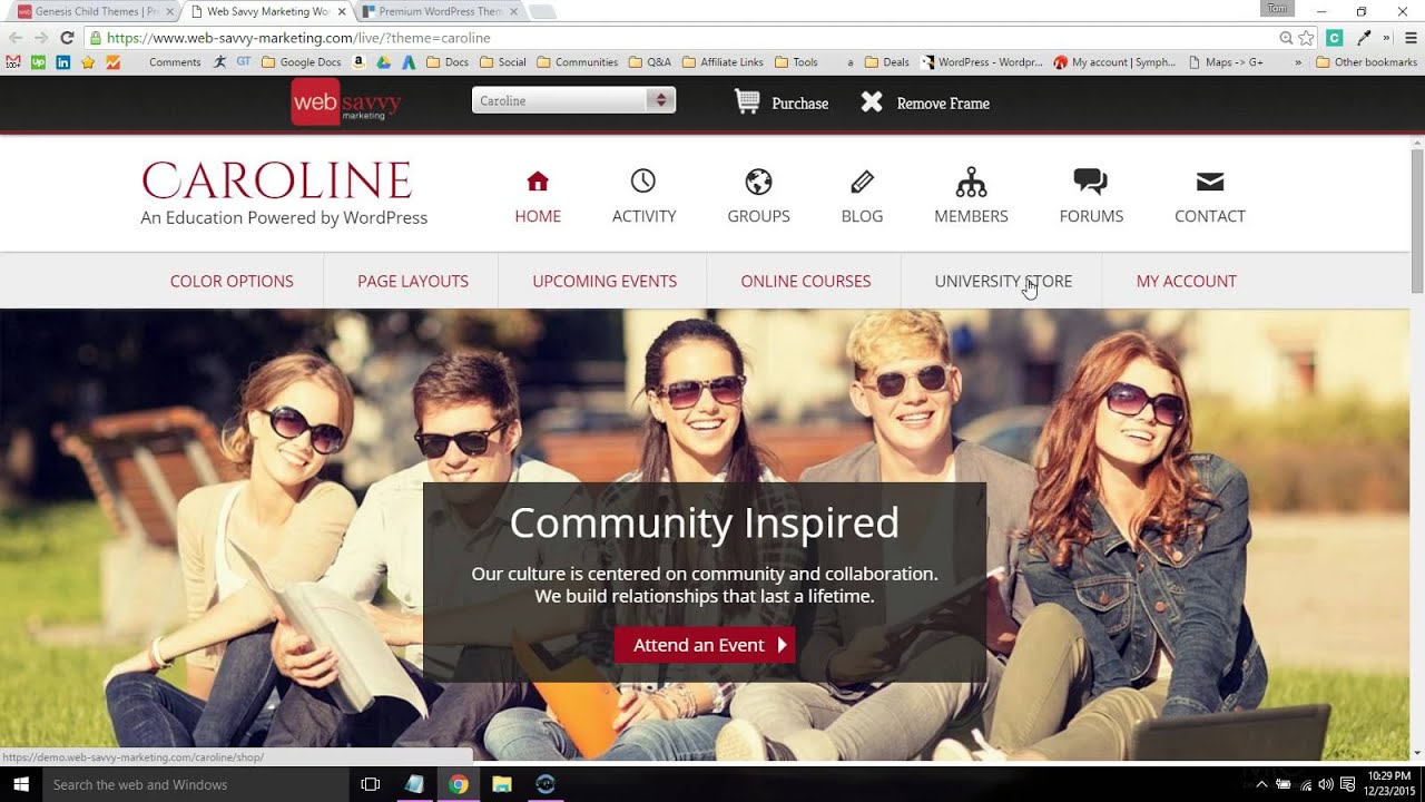 Web Savvy Marketing (Genesis Themes Review)