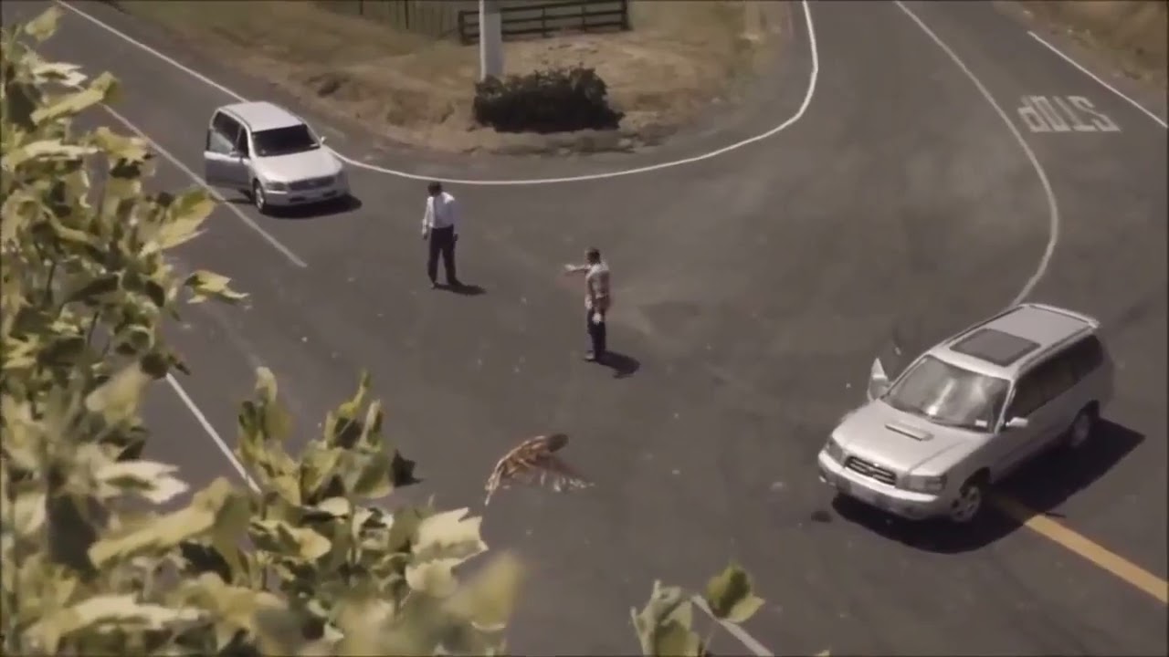 One of the most effective ads for road safety i have seen, by NZ govt.