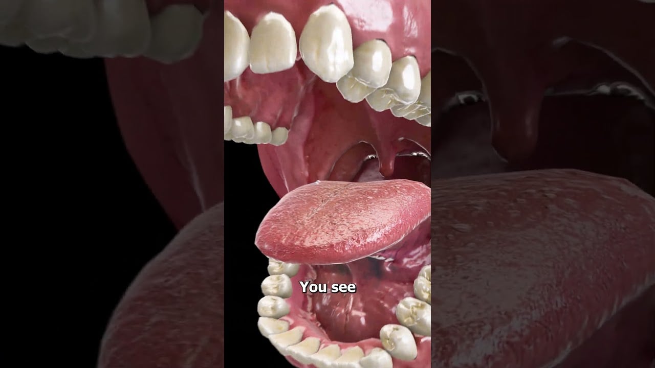 Why Dipping Fries In A Wendy's Frosty Taste SO Good 😯