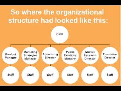Marketing Organizational Structure | How Organization Improves Results
