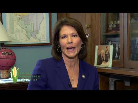 What Is Grassroots Advocacy