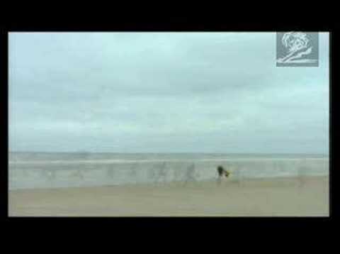 History Channel Ad - Know Where You Stand, Normandy