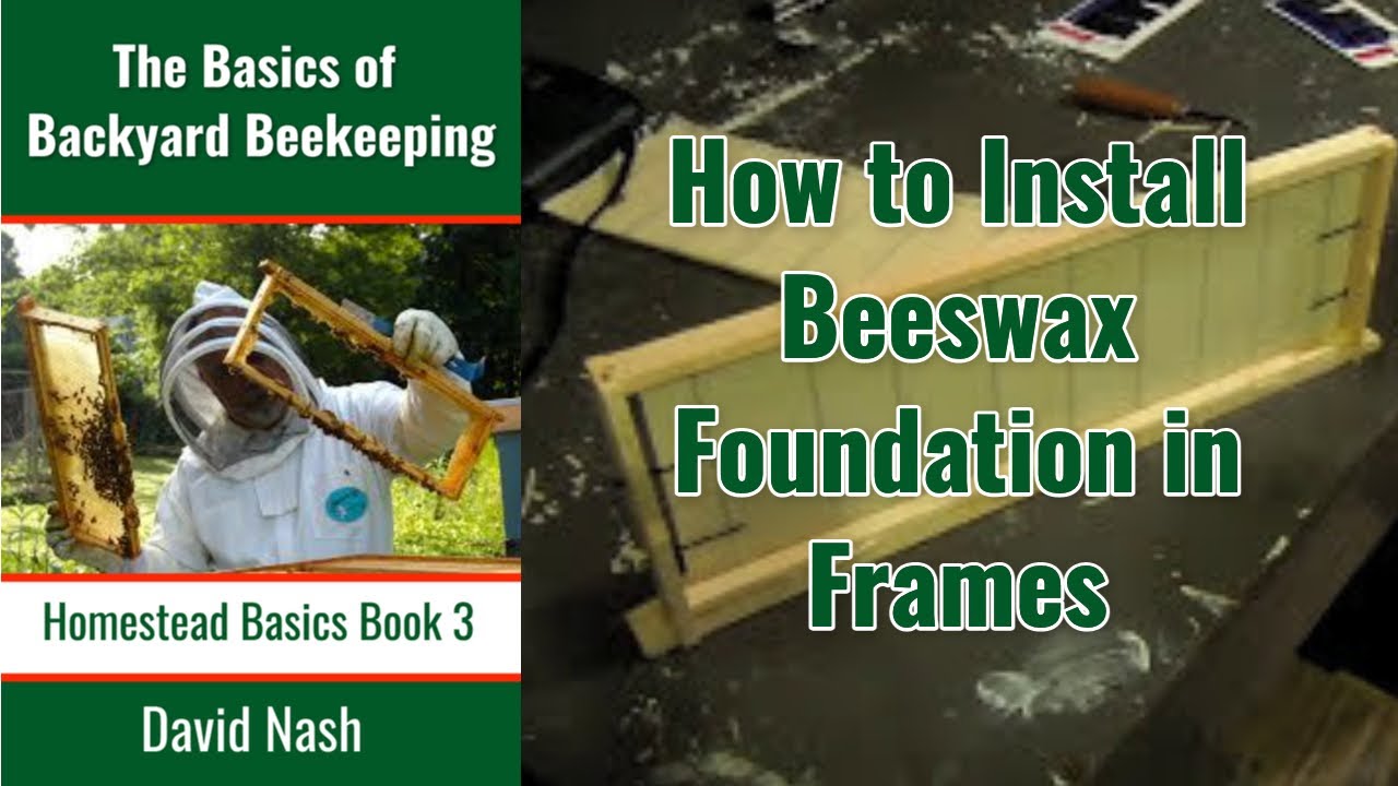 How to Install Beeswax Foundation in Frames