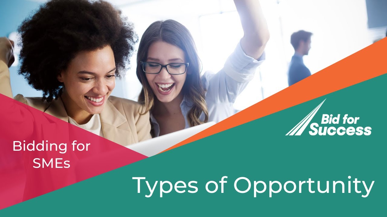 Types of Opportunities - Bidding Basics for SMEs