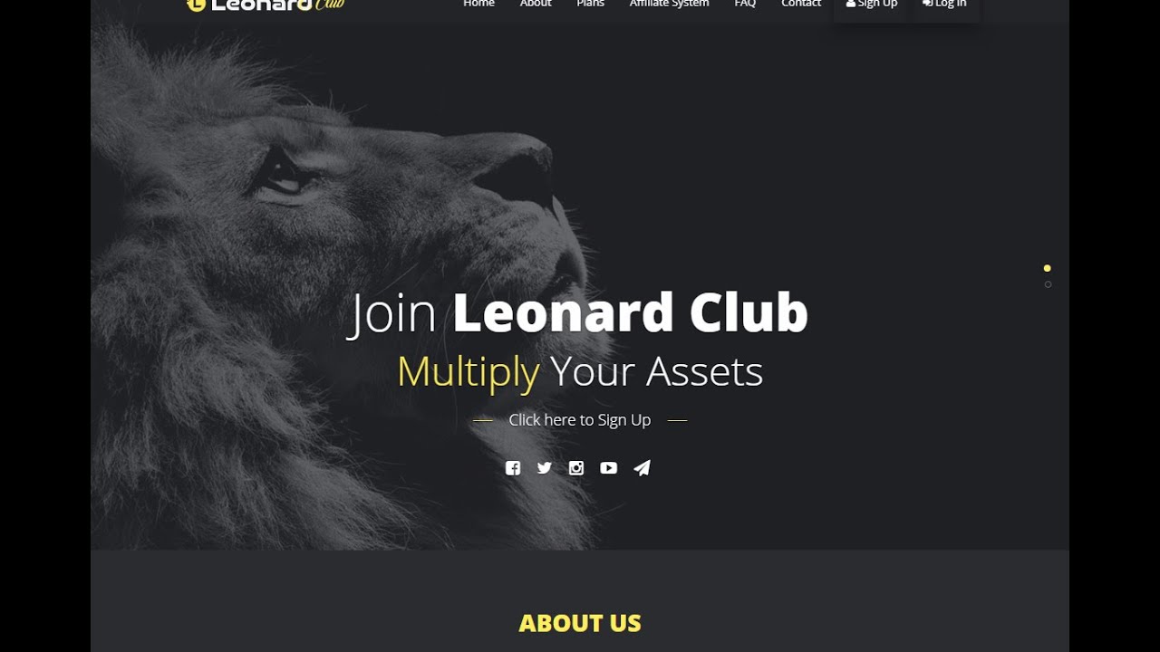 Buy HYIP investment Themes | hyipstarter.com