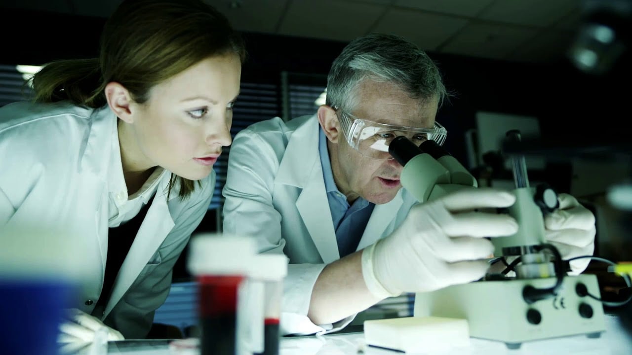 The Value of the Lab