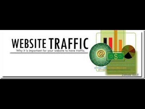 DataJEO Review | targeted website traffic reviews