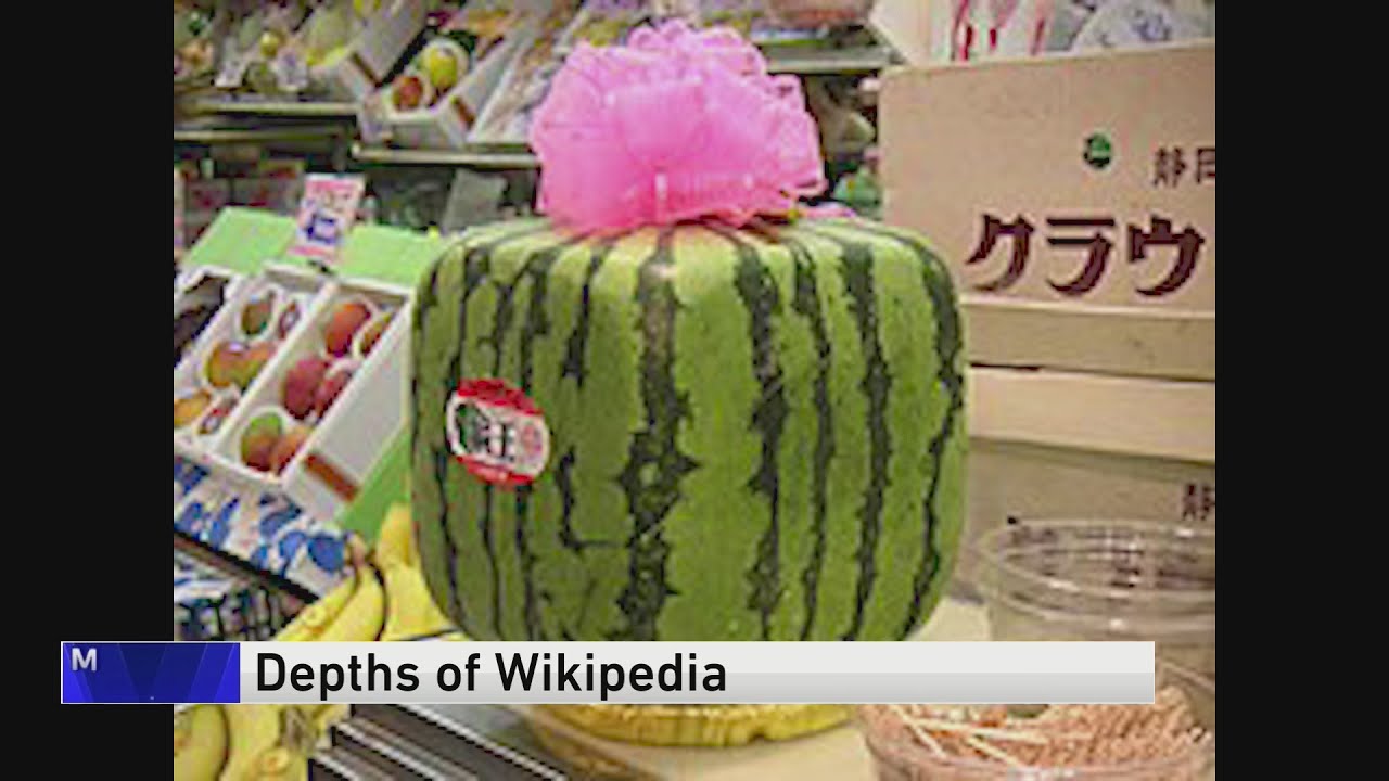 'Depths of Wikipedia'