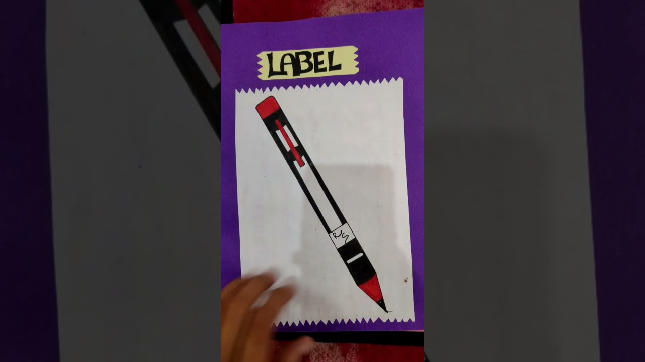 Business Studies project on Pen || Marketing management projet || Class 12 project file