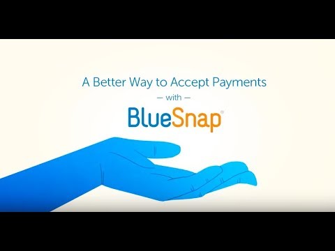 BlueSnap All-in-One Payment Platform - Global Online and Mobile Payments for Businesses, Simplified