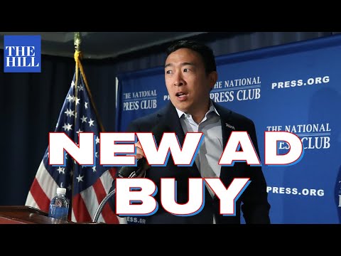 Panel: Yang's new ad buy, Kamala's cringy video