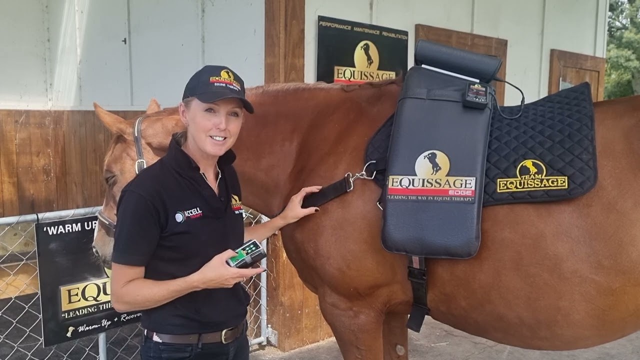 Using the different equissage settings CVT, CPM, TS