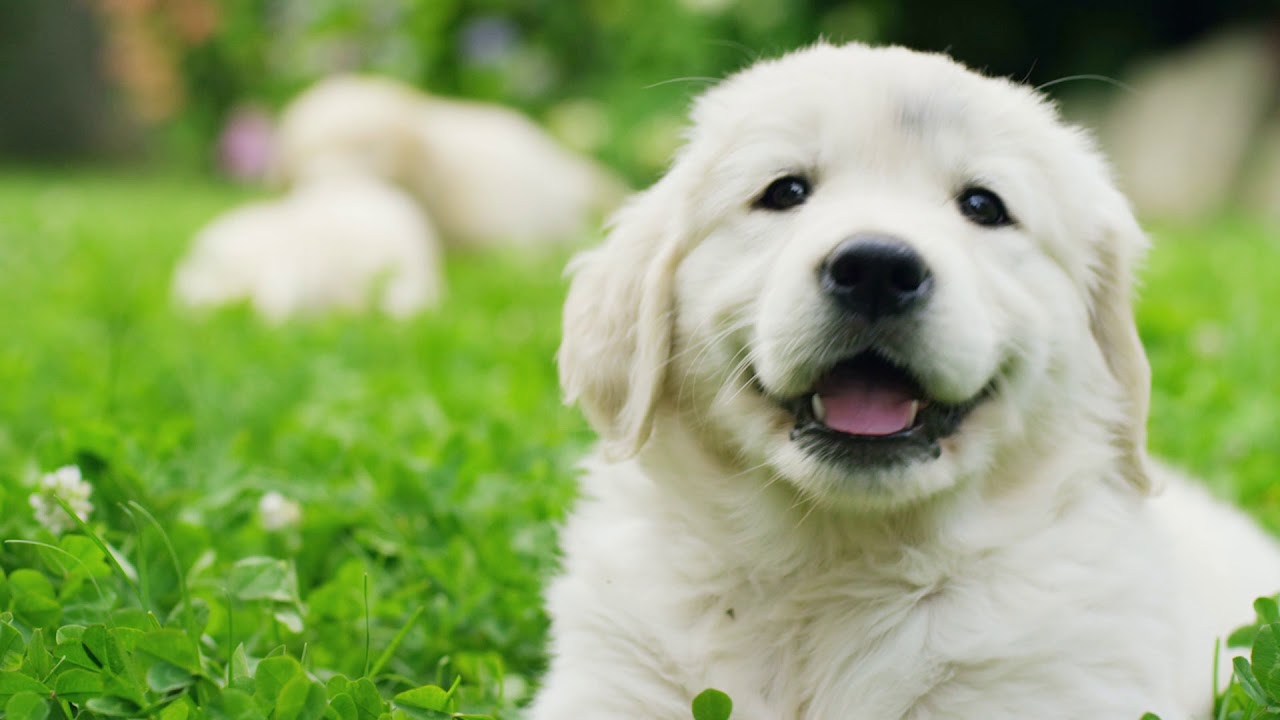 Safe for Network TV Spot