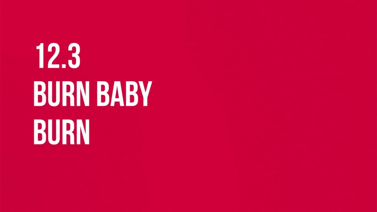 12.3 - Burn Cookies to Stop Wasting Ad Impressions