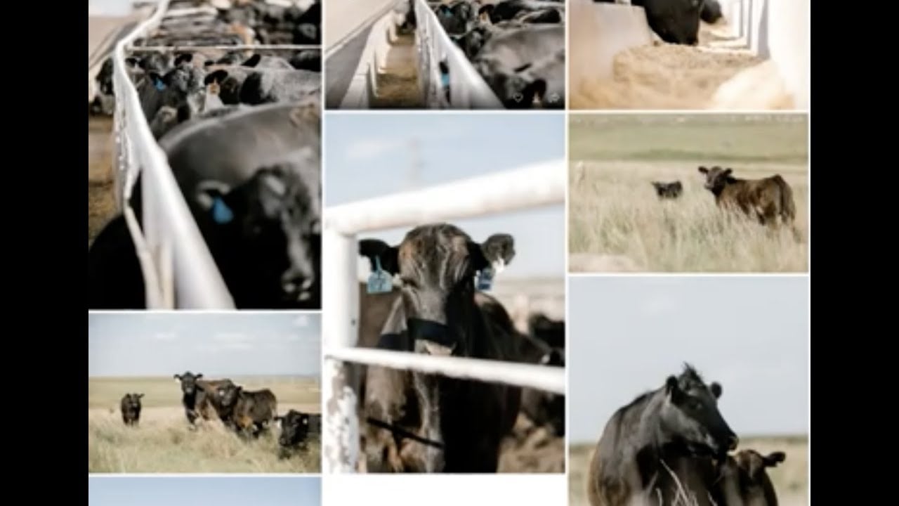 Grassroots Marketing Adapting to a New Reality