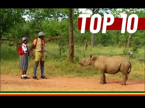 Zimbabwe Top 10 ZBC TV 90s Commercials / Adverts | Olivine, Chibuku, Mazoe