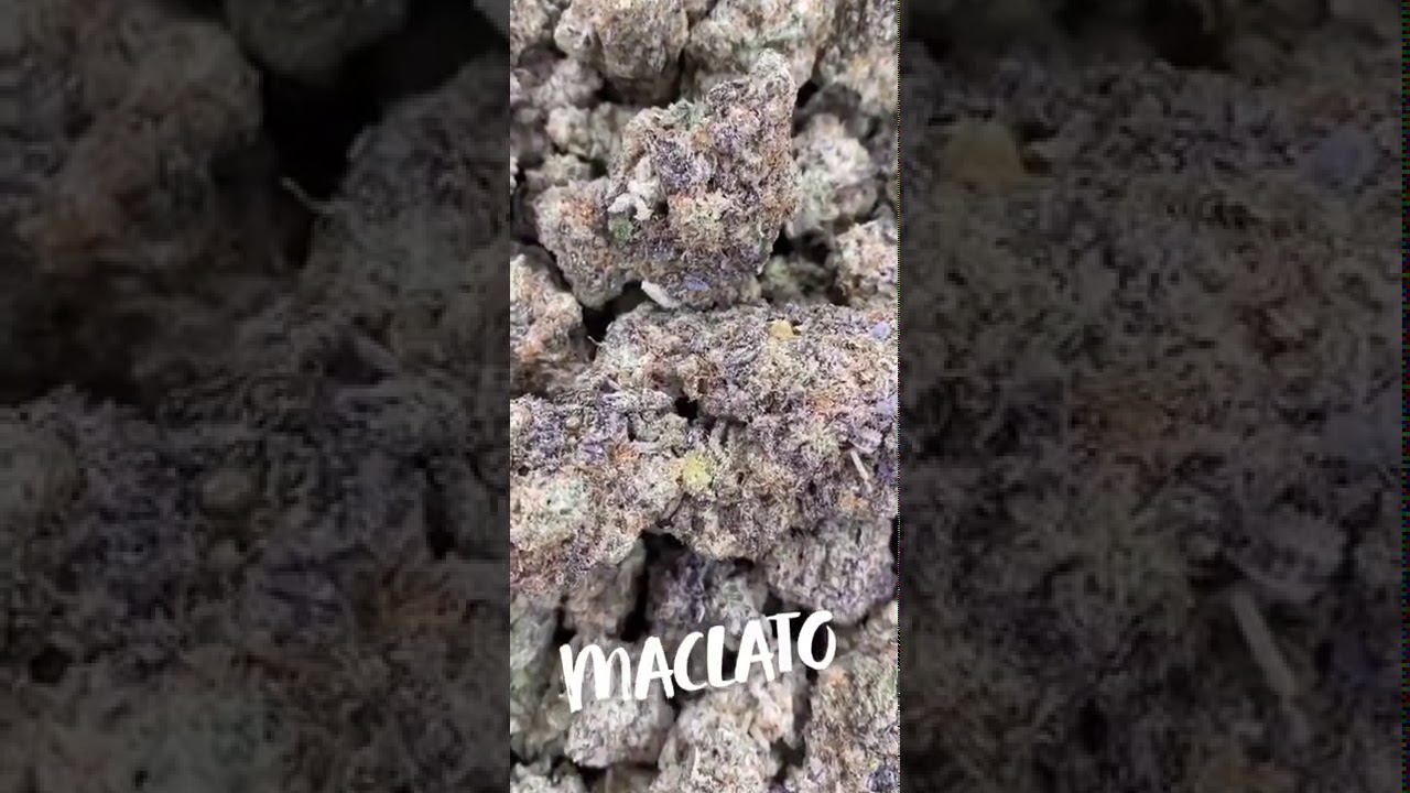 Maclato