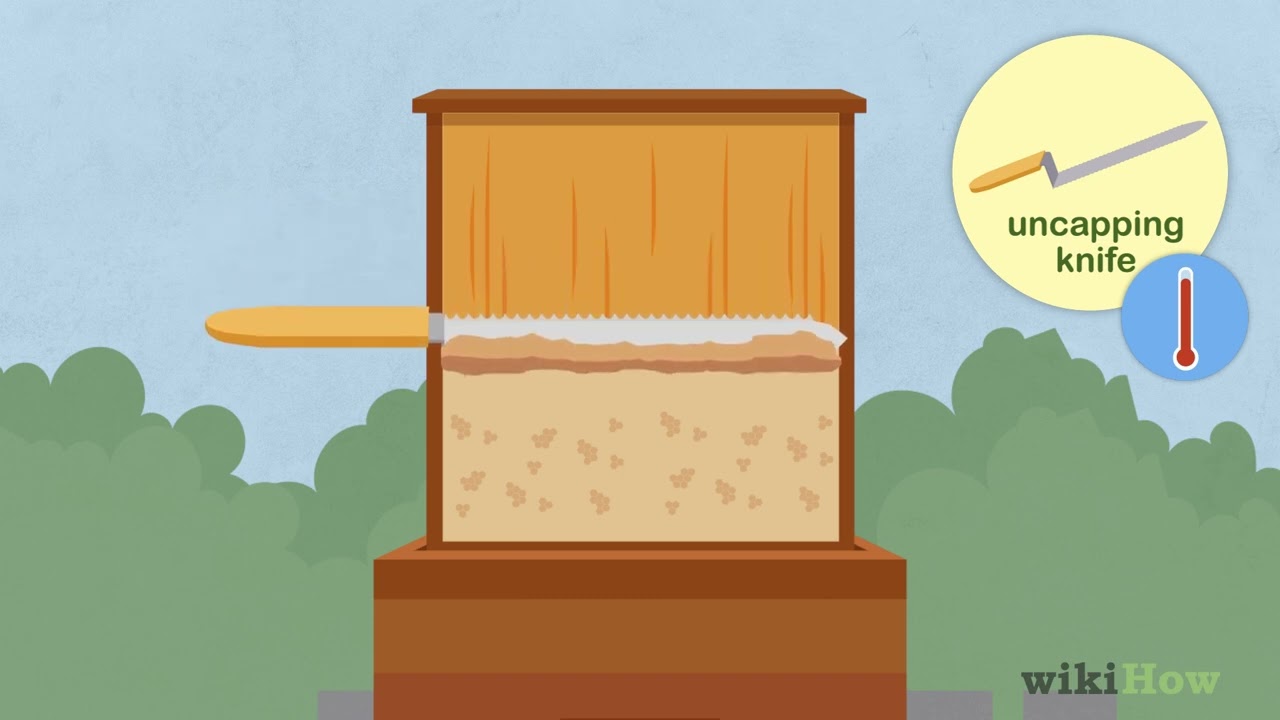 How to Harvest Beeswax
