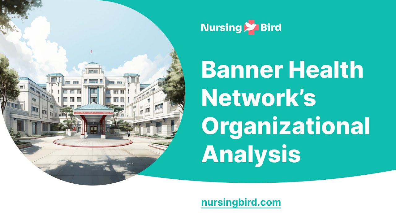 Banner Health Network’s Organizational Analysis - Essay Example