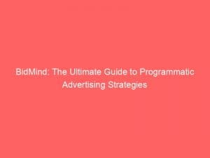 bidmind the ultimate guide to programmatic advertising strategies 146612