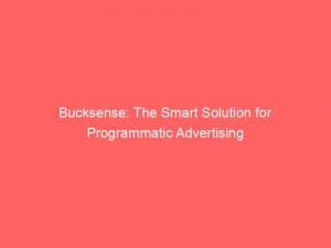 bucksense the smart solution for programmatic advertising 146770