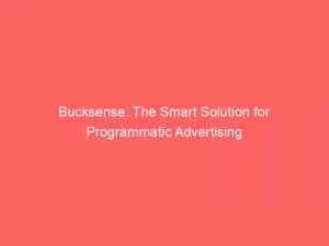 Bucksense: The Smart Solution For Programmatic Advertising 1 Bucksense The Smart Solution For Programmatic Advertising 146770
