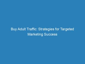 buy adult traffic strategies for targeted marketing success 145676