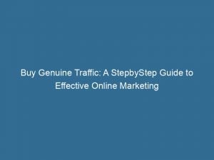 buy genuine traffic a stepbystep guide to effective online marketing 143513