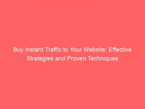 Buy Instant Traffic To Your Website Effective Strategies And Proven Techniques 144713