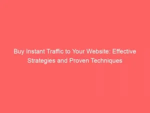 Buy Instant Traffic To Your Website Effective Strategies And Proven Techniques 144713
