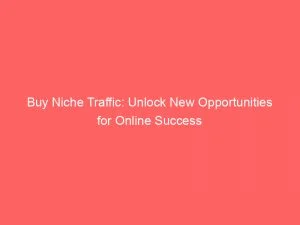 Buy Niche Traffic Unlock New Opportunities For Online Success 144869