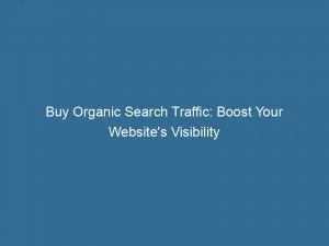 Buy Organic Search Traffic Boost Your Websites Visibility 144174