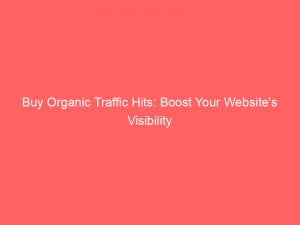 buy organic traffic hits boost your websites visibility 145107