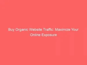 Buy Organic Website Traffic Maximize Your Online Exposure 144011