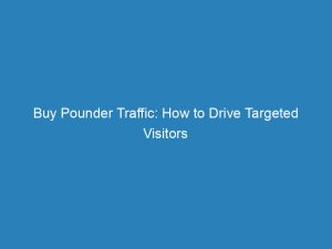 buy pounder traffic how to drive targeted visitors 144645