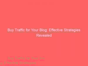 buy traffic for your blog effective strategies revealed 144262