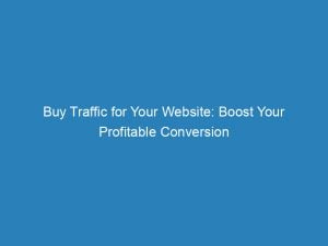 Buy Traffic For Your Website Boost Your Profitable Conversion 145114