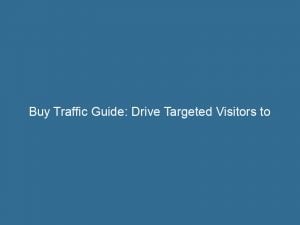 Buy Traffic Guide Drive Targeted Visitors To Your Website 144016