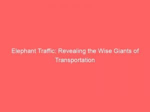 elephant traffic revealing the wise giants of transportation 146015