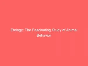 Etology The Fascinating Study Of Animal Behavior 146047
