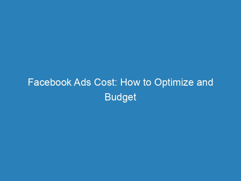 Facebook Ads Cost How To Optimize And Budget Froggy Ads