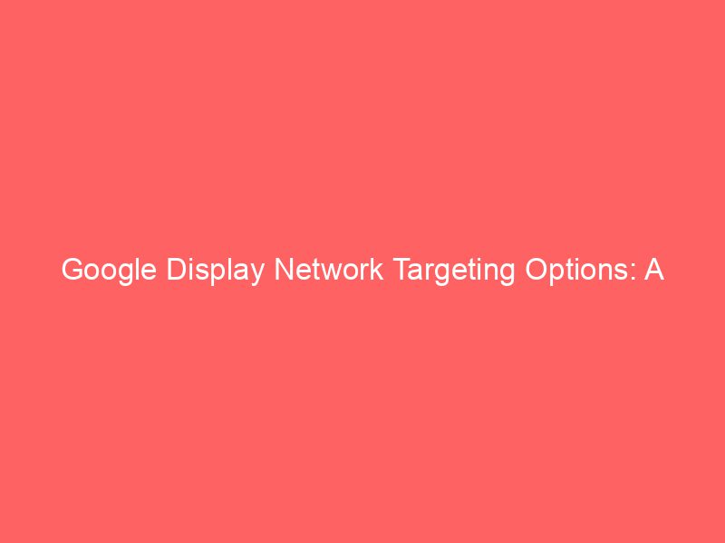 Best Google Display Network Targeting Options: A