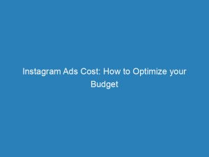 instagram ads cost how to optimize your budget 148162