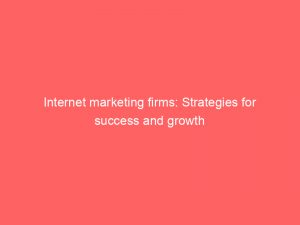 internet marketing firms strategies for success and growth 150711