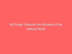 mythings discover the wonders of the natural world 146158