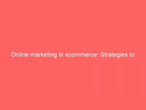 Online Marketing In Ecommerce: Strategies To Dominate The Market 1 Online Marketing In Ecommerce Strategies To Dominate The Market 151956