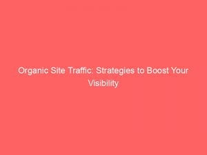 Organic Site Traffic Strategies To Boost Your Visibility 144722